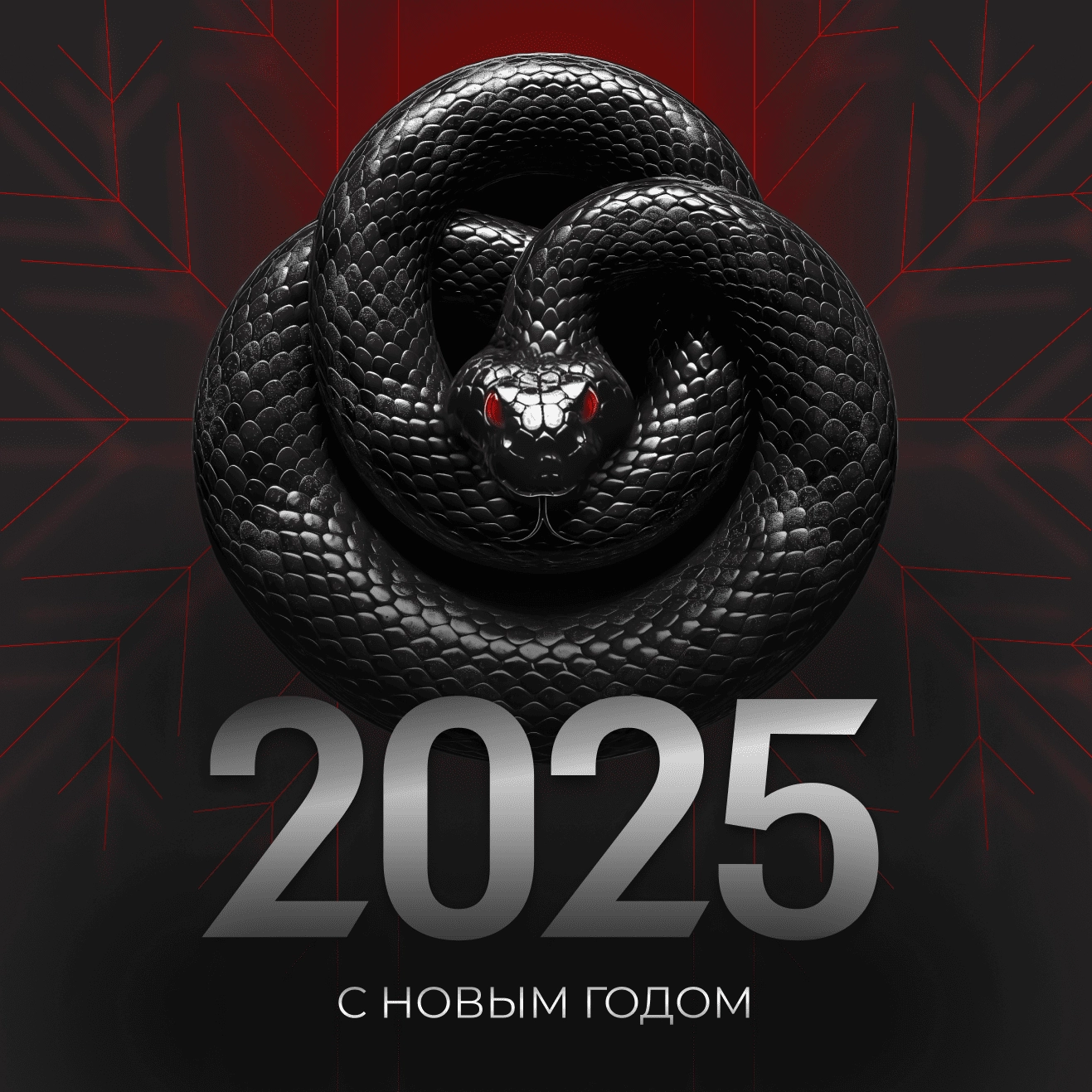 С Наступающим 2025 Годом!